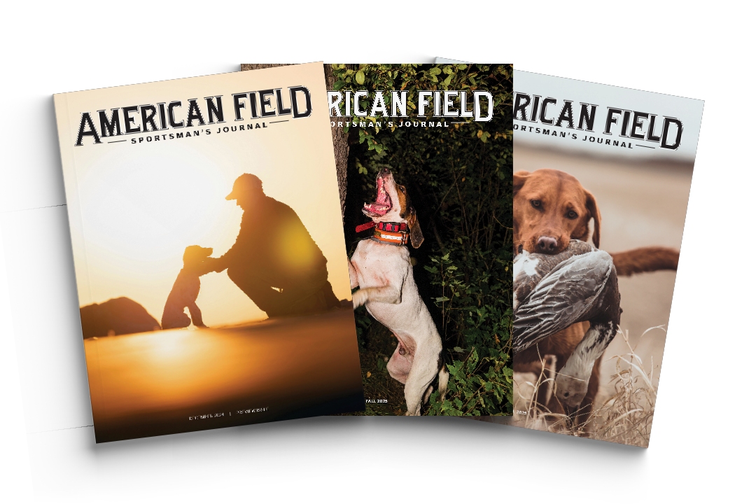 American Field Sportsman's Journal