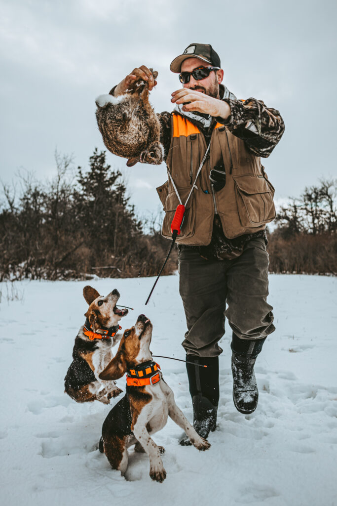 A rabbit hunter in the snow holding up a cottontail rabbit with two beagles jumping up.