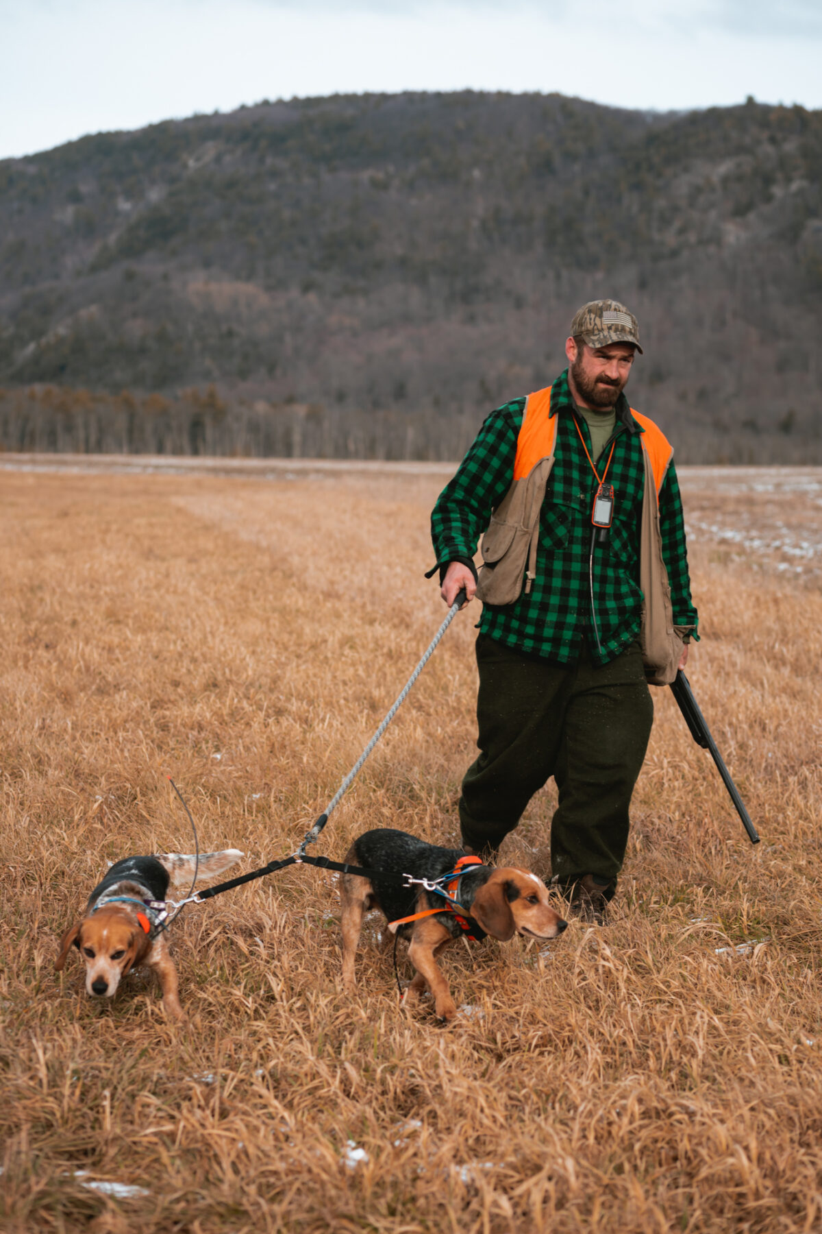 American Field Sportsman's Journal