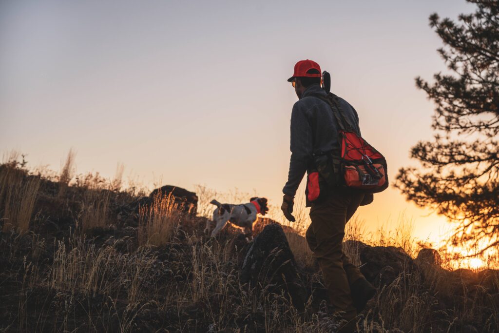 An upland bird hunter and a Brittany spaniel climbing a mountain during a sunset.