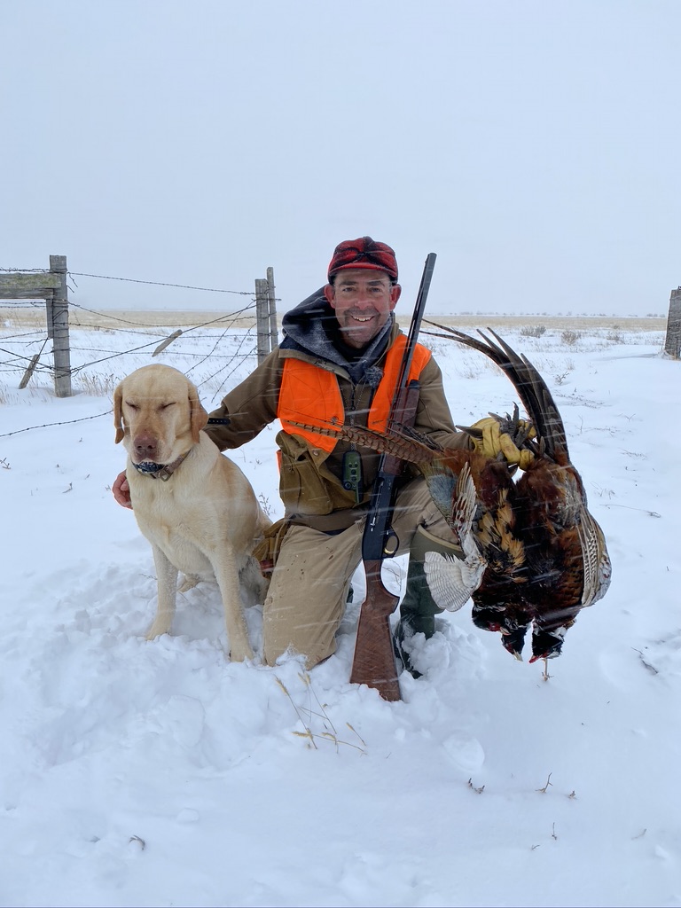 An upland bird hunter in a snowy field with a limit of rooster pheasants and a yellow Lab.