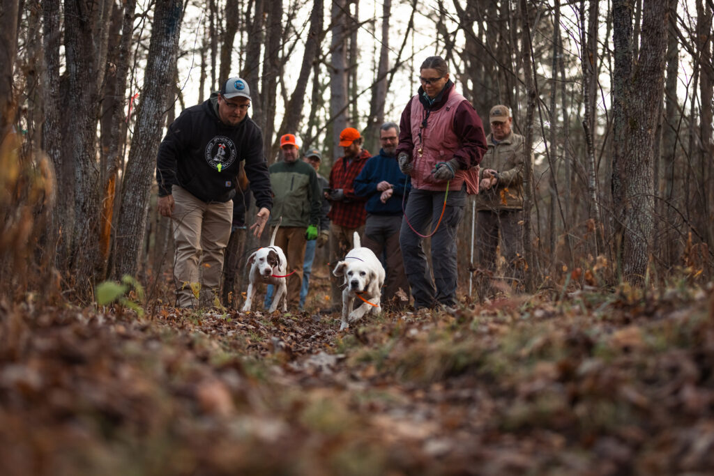 At the line for a bird dog field trial.