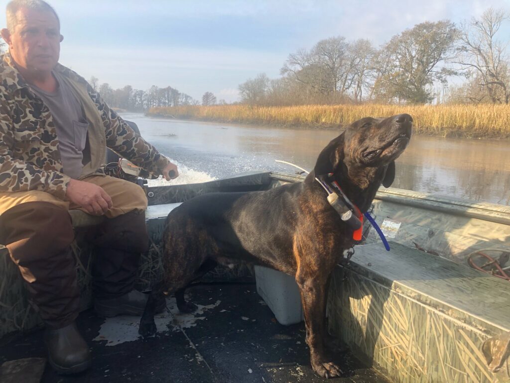 A coon hunter and his Plott hound on a boat.
