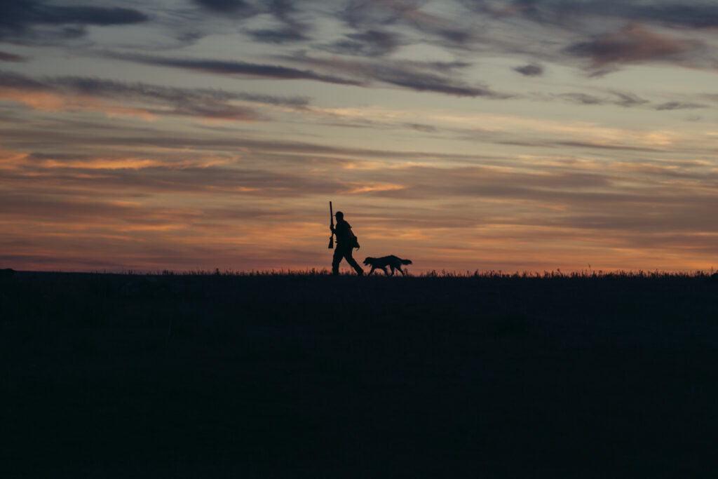 An upland bird hunter and their dog walking in a field at sunrise.