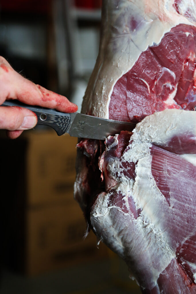 A hunter using a sharp knife to butcher a deer.