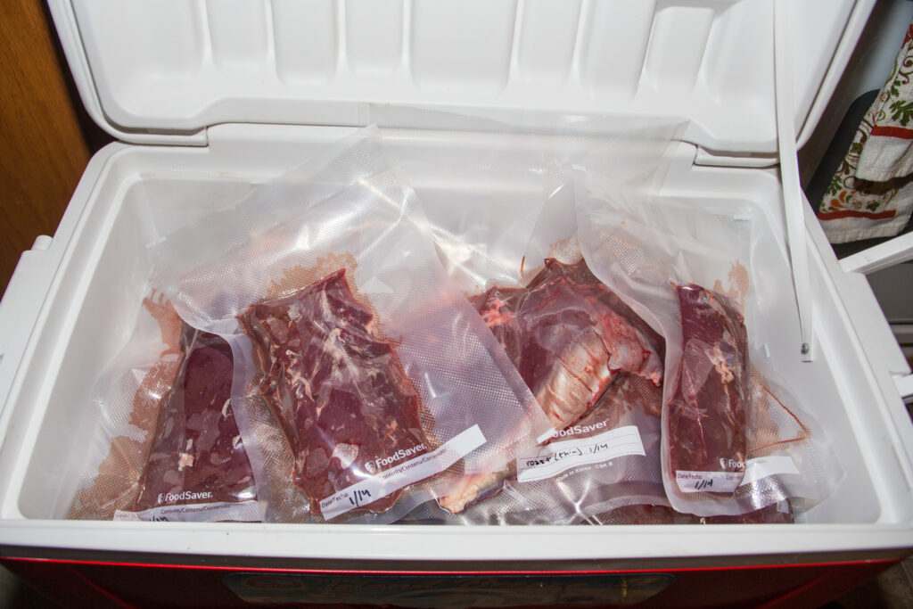 Vacuum sealed venison and game meat in a cooler.