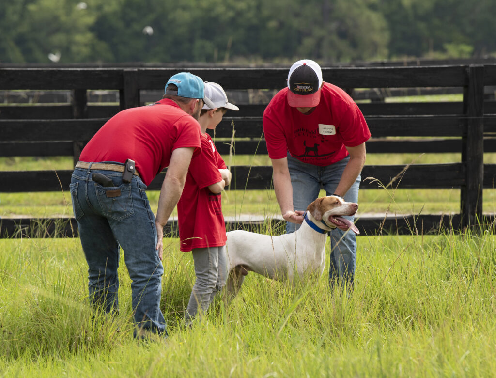 Two men and a boy at a farm handling an English pointer dog.
