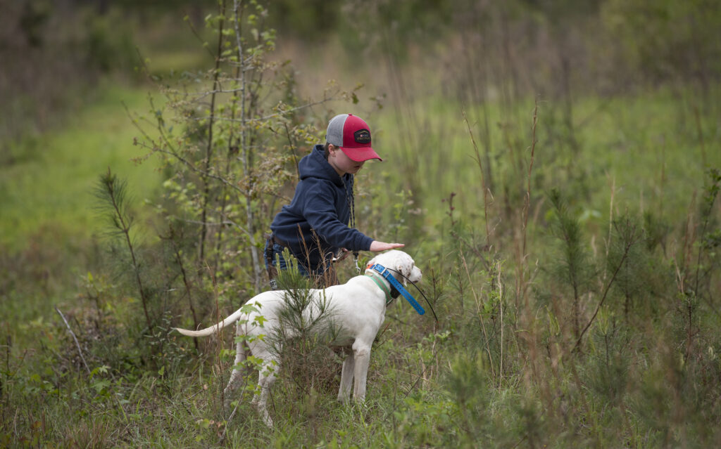 A young boy handling an English pointer in a field trial competition.