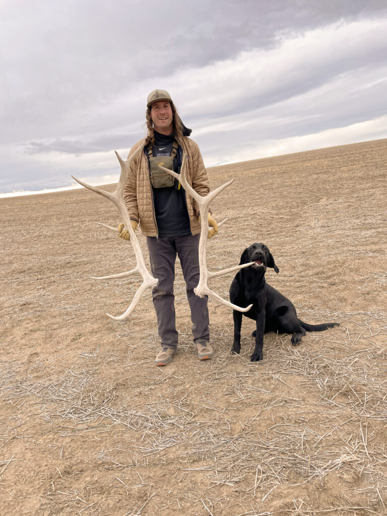A dog trainer with large elk antlers and a black Labrador retriever standing in a field.