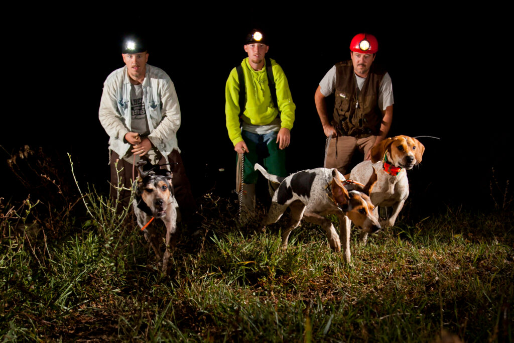 Coon hunters releasing their coonhounds on a competition UKC nite hunt for raccoons.