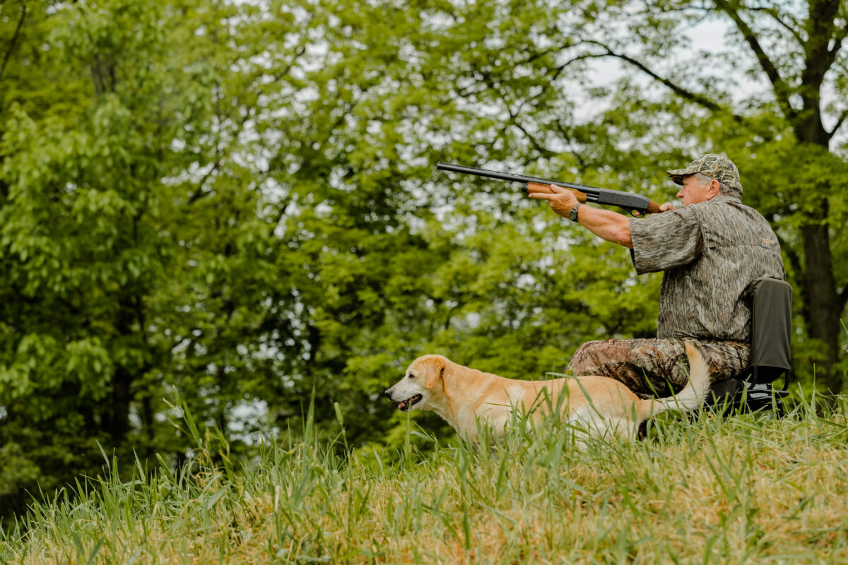 A duck hunter and a yellow Lab hunting in a field.