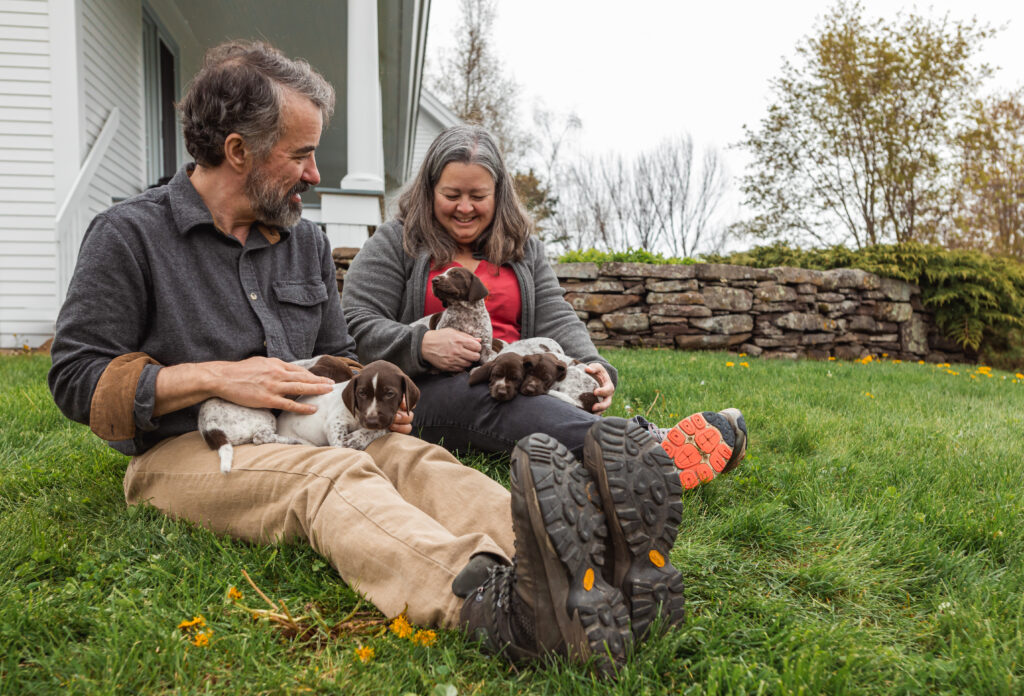 A man and a woman playing with German shorthair pointer puppies in the grass.