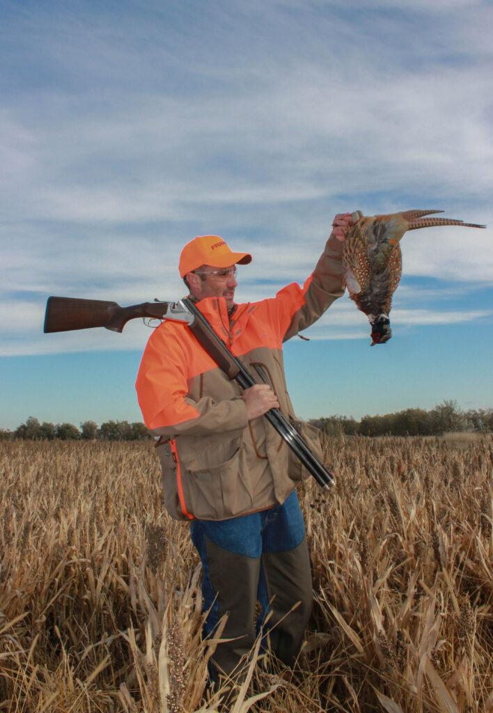 A pheasant hunter holding up a big ring-necked pheasant rooster on a hunt.